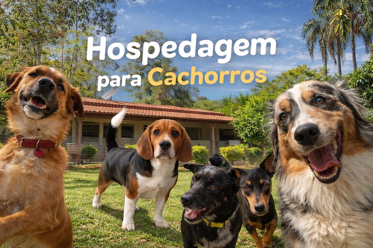 Área verde do Hotel no Sítio